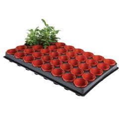 Garland Professional Seed and Cutting Tray 40 x 6cm Pots