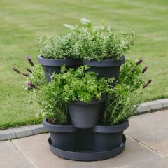 Plantpak Strawberry And Herb Planter