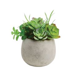 Gardman Artificial Potted Succulent