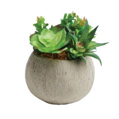 Gardman Artificial Large Potted Succulent