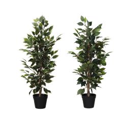 Ellister Artificial Plant - H115cm