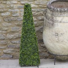 Smart Garden Boxwood Obelisk 60cm