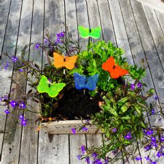SunCatcher Butterfly Garden Stake Set - 6cm
