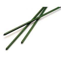 Ambassador Garden Stake - 120cm