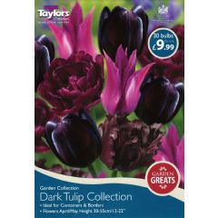 Taylors Dark Tulip Collection - 30 Bulbs