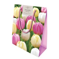 Taylors Colourful Triumph Tulips Gift Bag - 20 Bulbs