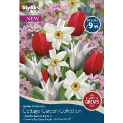 Taylors Cottage Garden Collection - 50 Bulbs