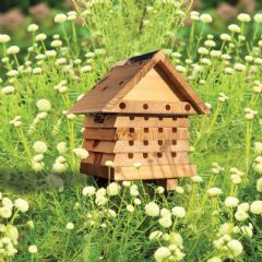 Wildlife World Solitary Beehive