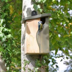 Wildlife World Simon King Cavity Nest Box