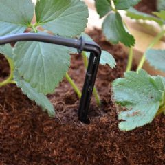 Palram Greenhouse Drip Irrigation Kit