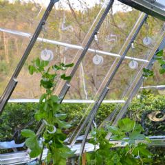 Palram Pro Greenhouse Trellising Kit