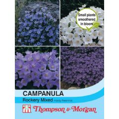 Thompson and Morgan Campanula Rockery Mixed - 200 seeds
