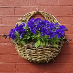 Apollo Rattan Wall Basket - 16in