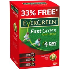 EverGreen Fast Grass Lawn Seed Extra - 20mē