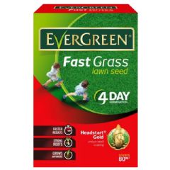EverGreen Fast Grass Lawn Seed - 80mē