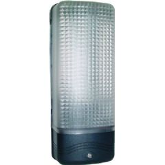 Byron 60W Security Light - Black