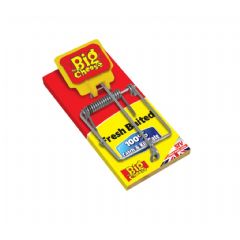 The Big Cheese Fresh Baited Mouse Trap Pack 30