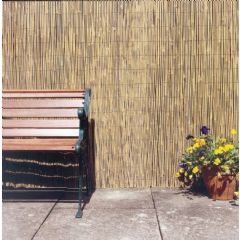 Ambassador Whole Bamboo Cane Fencing & Screening Roll
