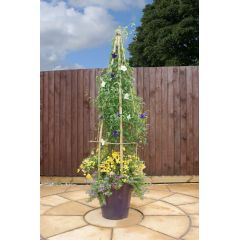 Zest 4 Leisure Large Clemantis Flowerbell Obelisk