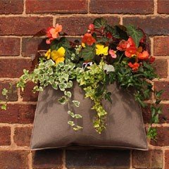 Botanico Single Wall Planter on Sale | Fast Delivery | Greenfingers 
