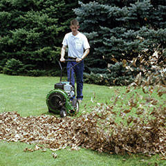 Mighty Mac Leaf Blower LB800EX