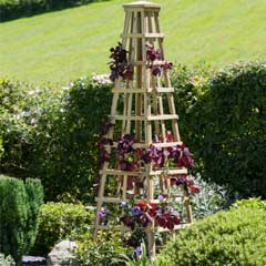 Zest 4 Leisure Snowdon Obelisk