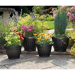 Georgian Style Antique Gold Planters - 4 Pack
