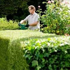 Bosch Electric Hedgecutter - 420W/45cm
