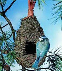 Wildlife World Tall Roosting Wild Bird Nest Pocket