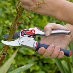 Spear and Jackson Razorsharp Ratchet Twist Anvil Secateurs