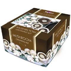 Taylors White Button Mushroom Kit