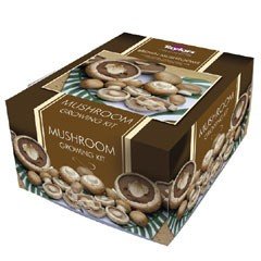 Taylors Brown Button Mushroom Kit