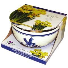 Taylors Tête à Tête Narcissus Delft Bowl - 4 Bulbs