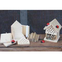 Make Your Own Insect House