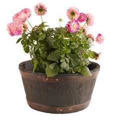 Strata Oakwood Barrel Resin Planter 50cm