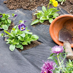 Ambassador Weed Control Fabric