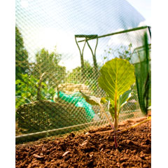 Ambassador Plant Shading 10m x 66cm